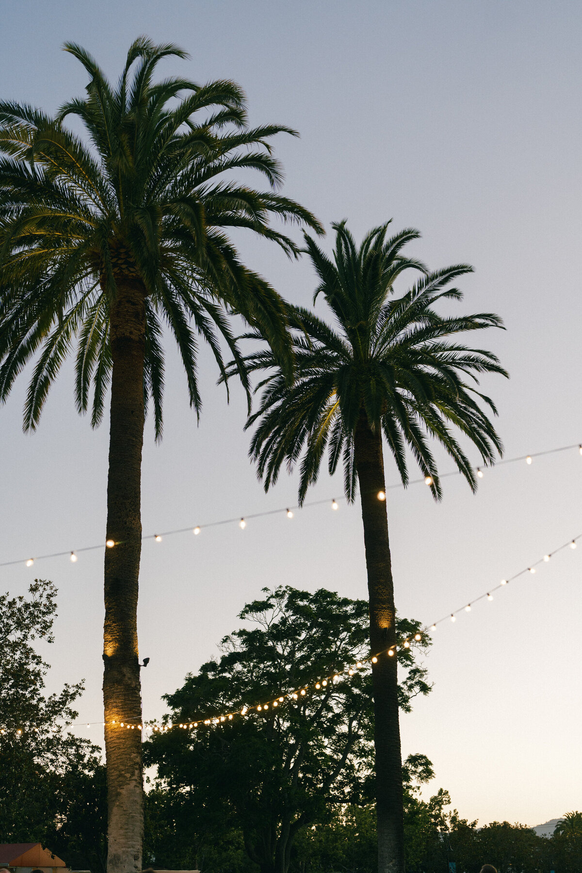 Laurel-Joseph-Previews-41