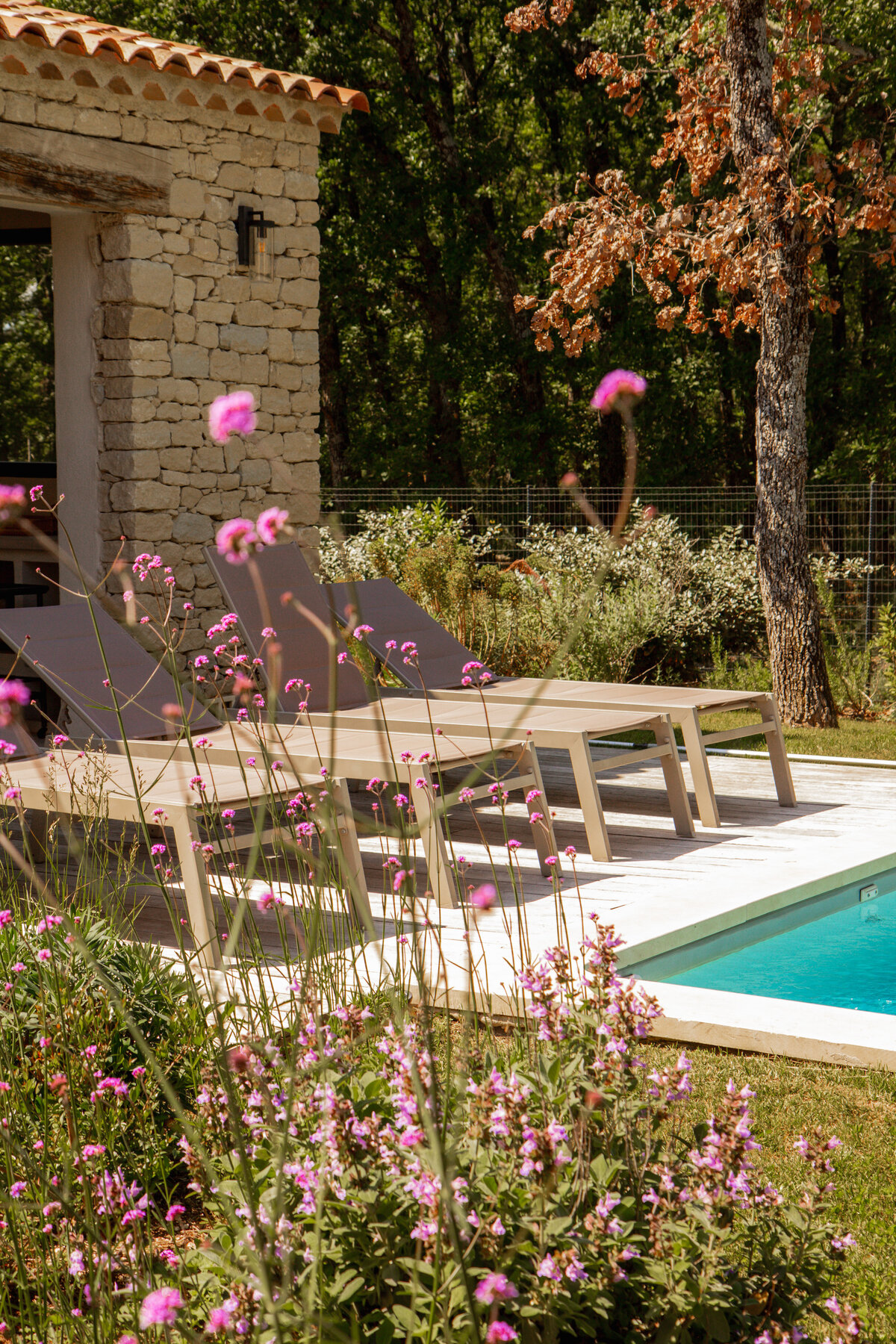 Provence
