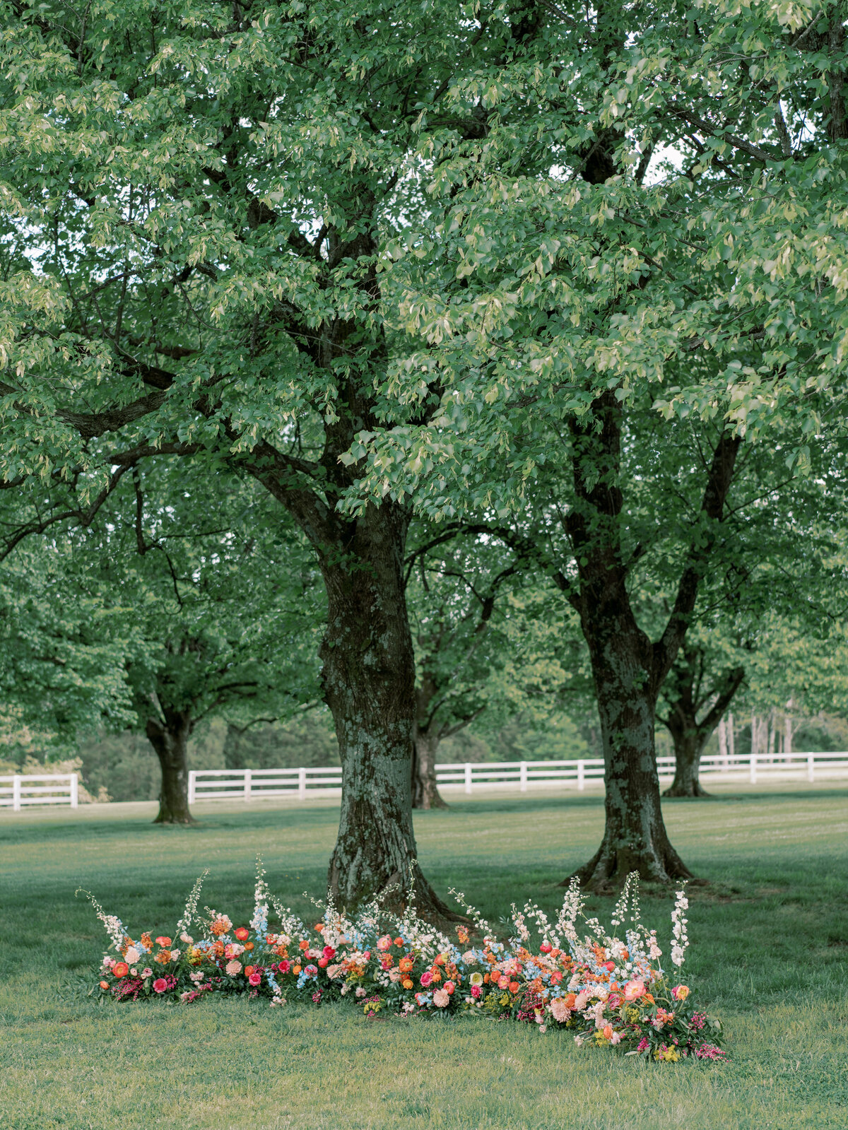 ARP_Kate&HenryWedding-30