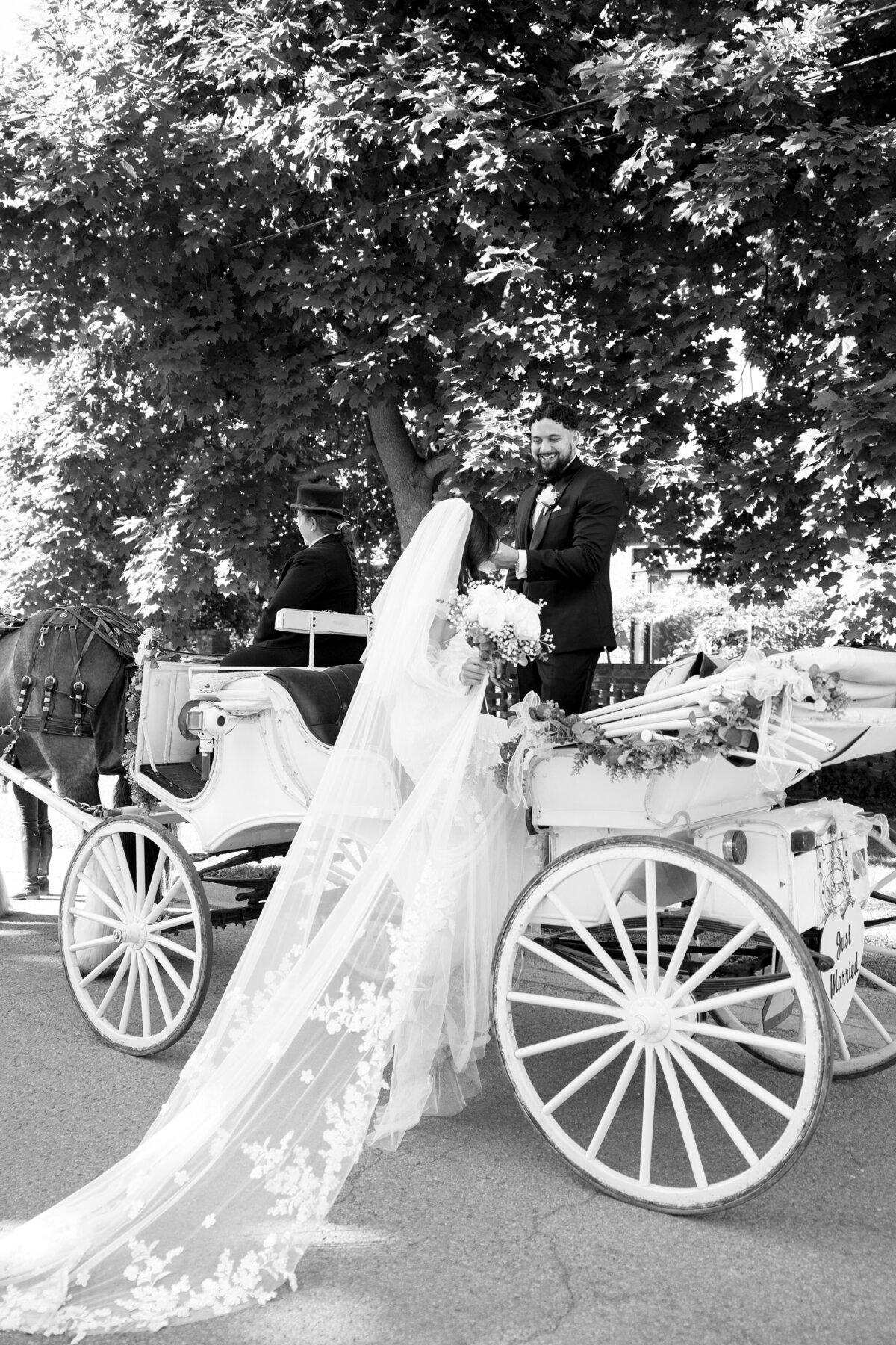 24.06.15-Alanna+AlijhaWedding-5569