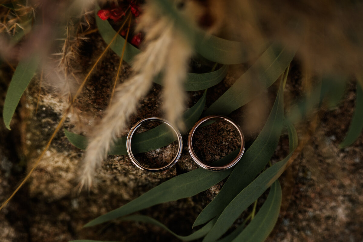 Capturewithcarolina-8