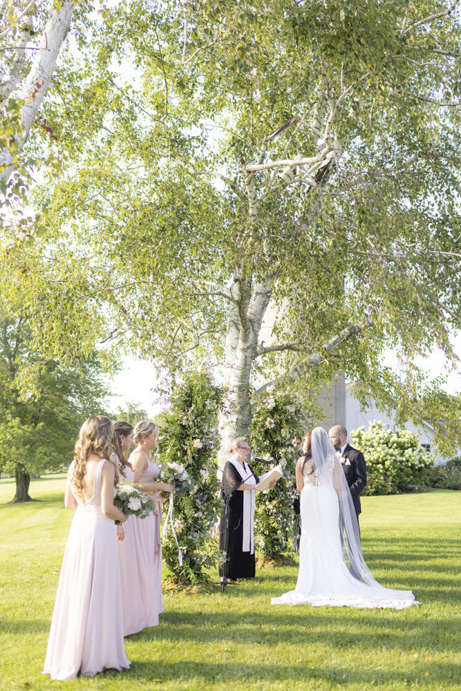bridal party at the ceremony - candlelight farms inn wedding