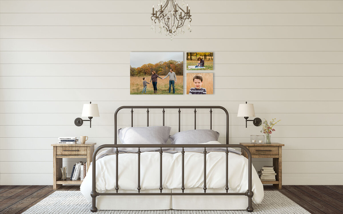 Modern-Farmhouse bedroom