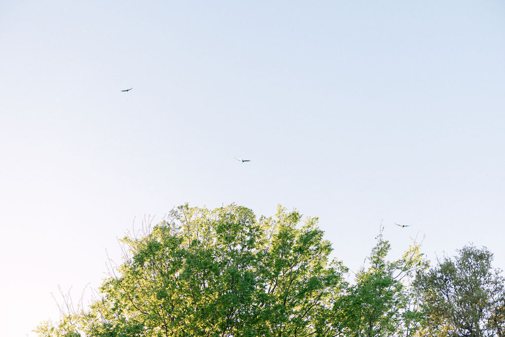 ChelseyBlackPhotography-6300
