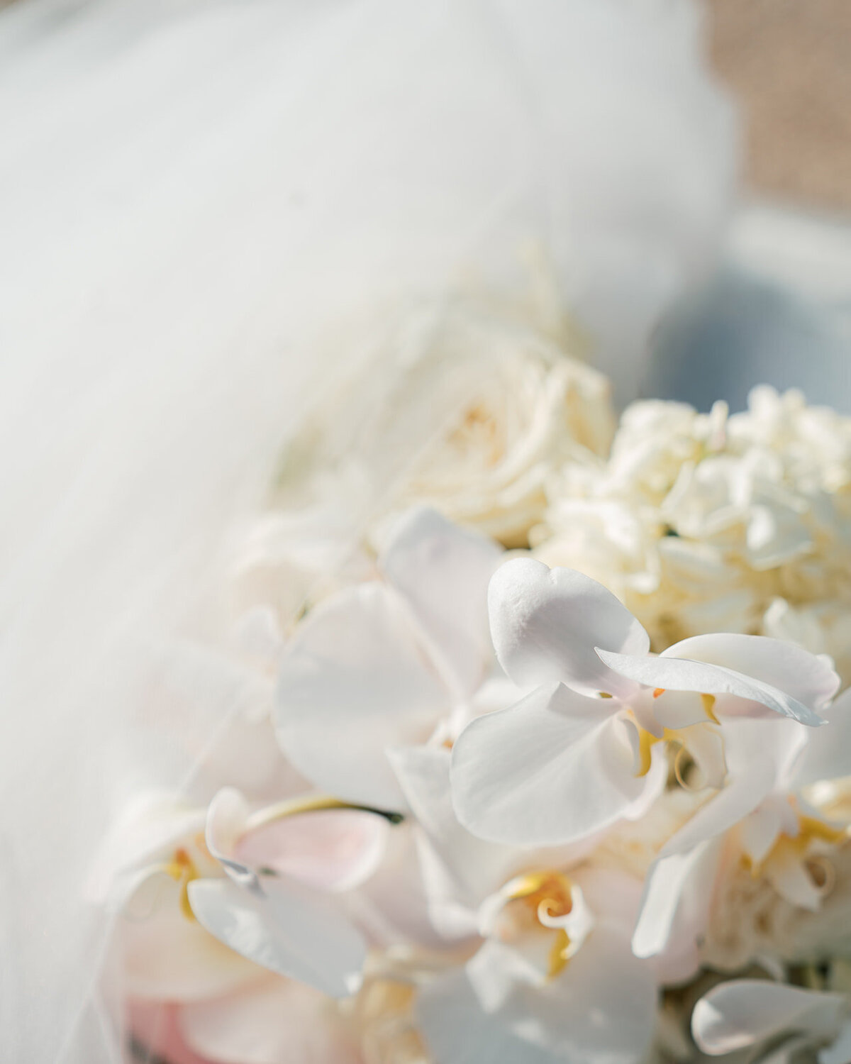 philadelphiaweddingphotographer-oliviacasey0061