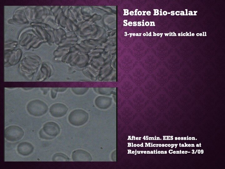 slide40