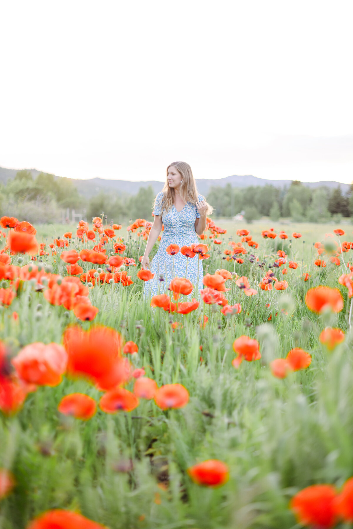 009-Summer_Poppies_Aspen_Portrait_Photographer_MaggShots_Photography