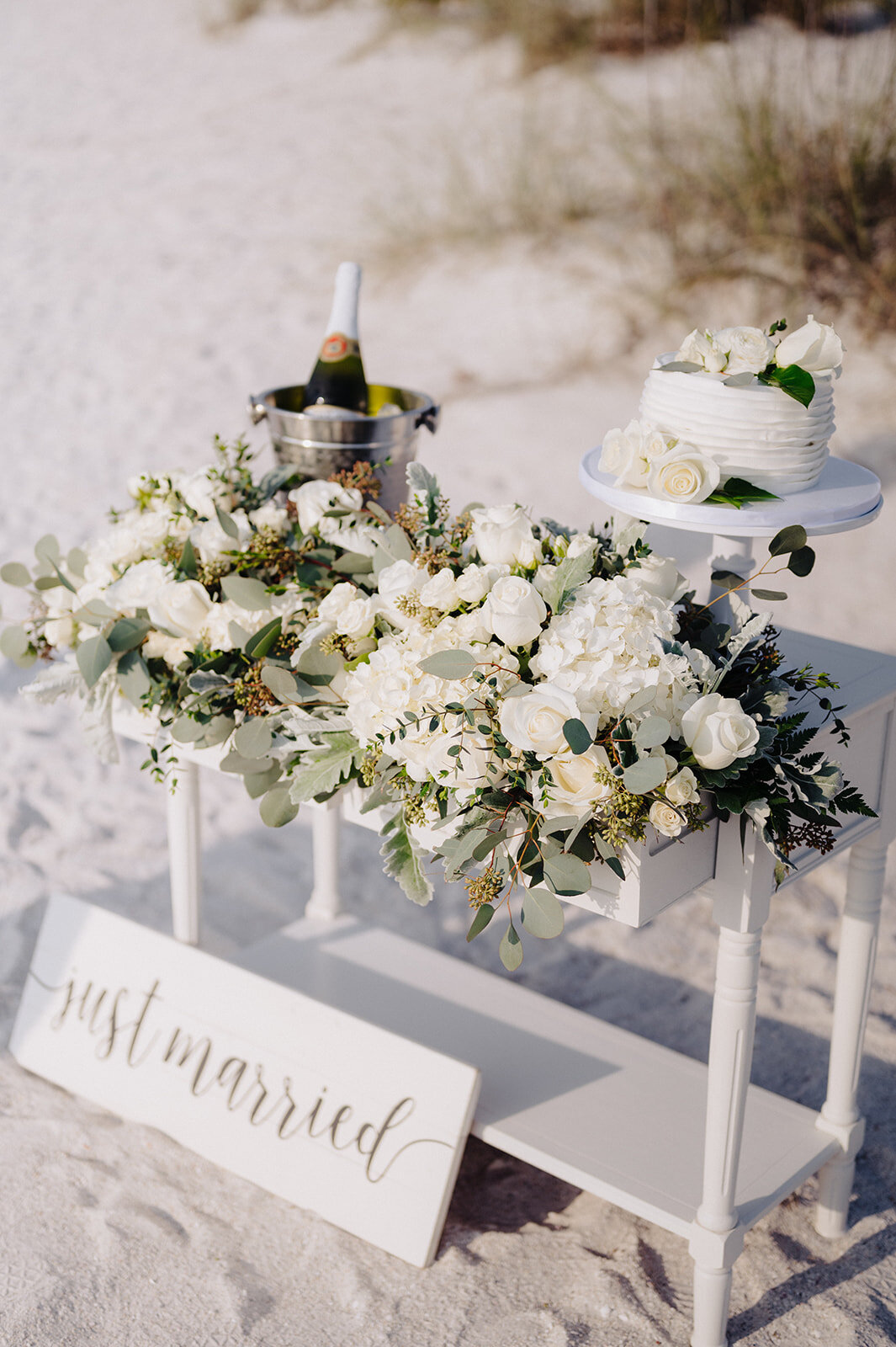 mcneile-photography-pass-a-grille-beach-elopement-chantilly-chic-celebrations-1