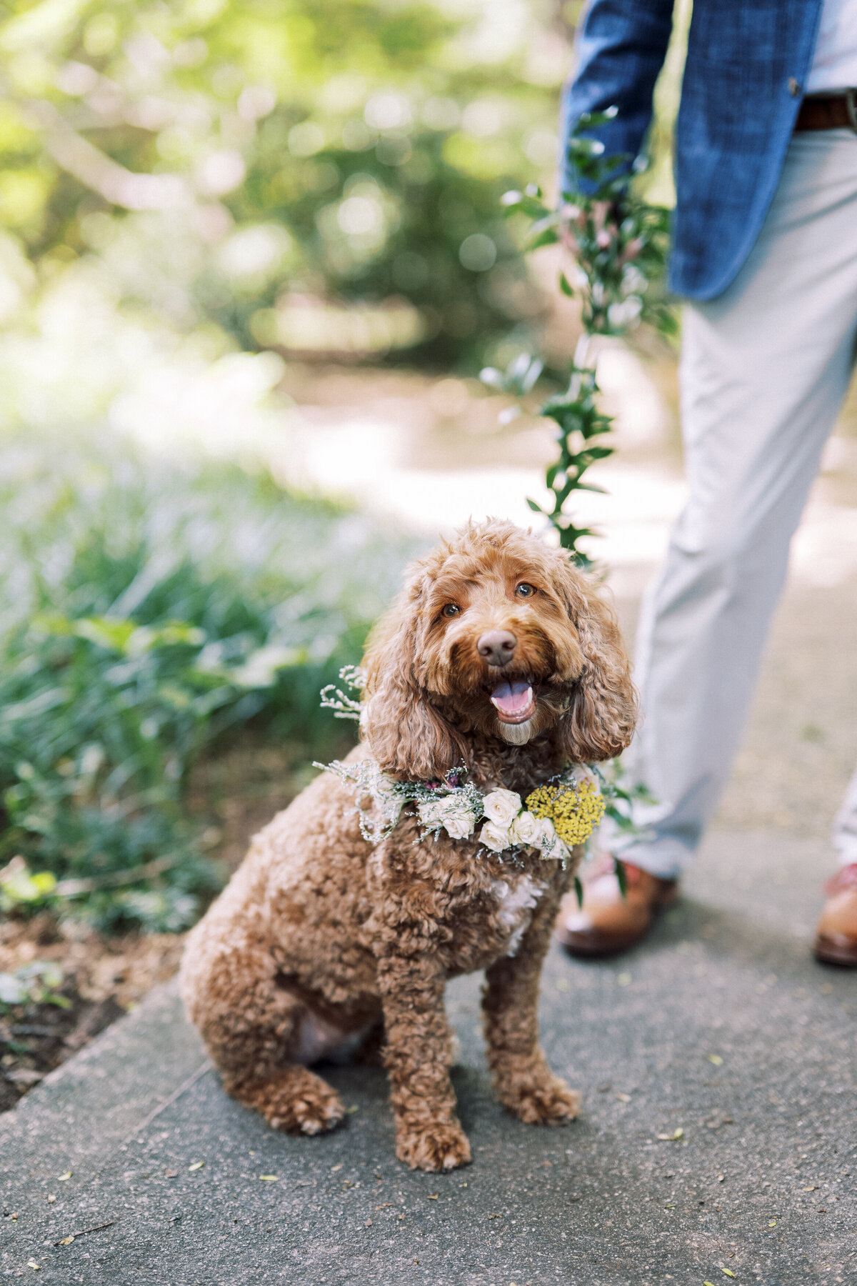 raleigh-nc-outdoor-wedding-16