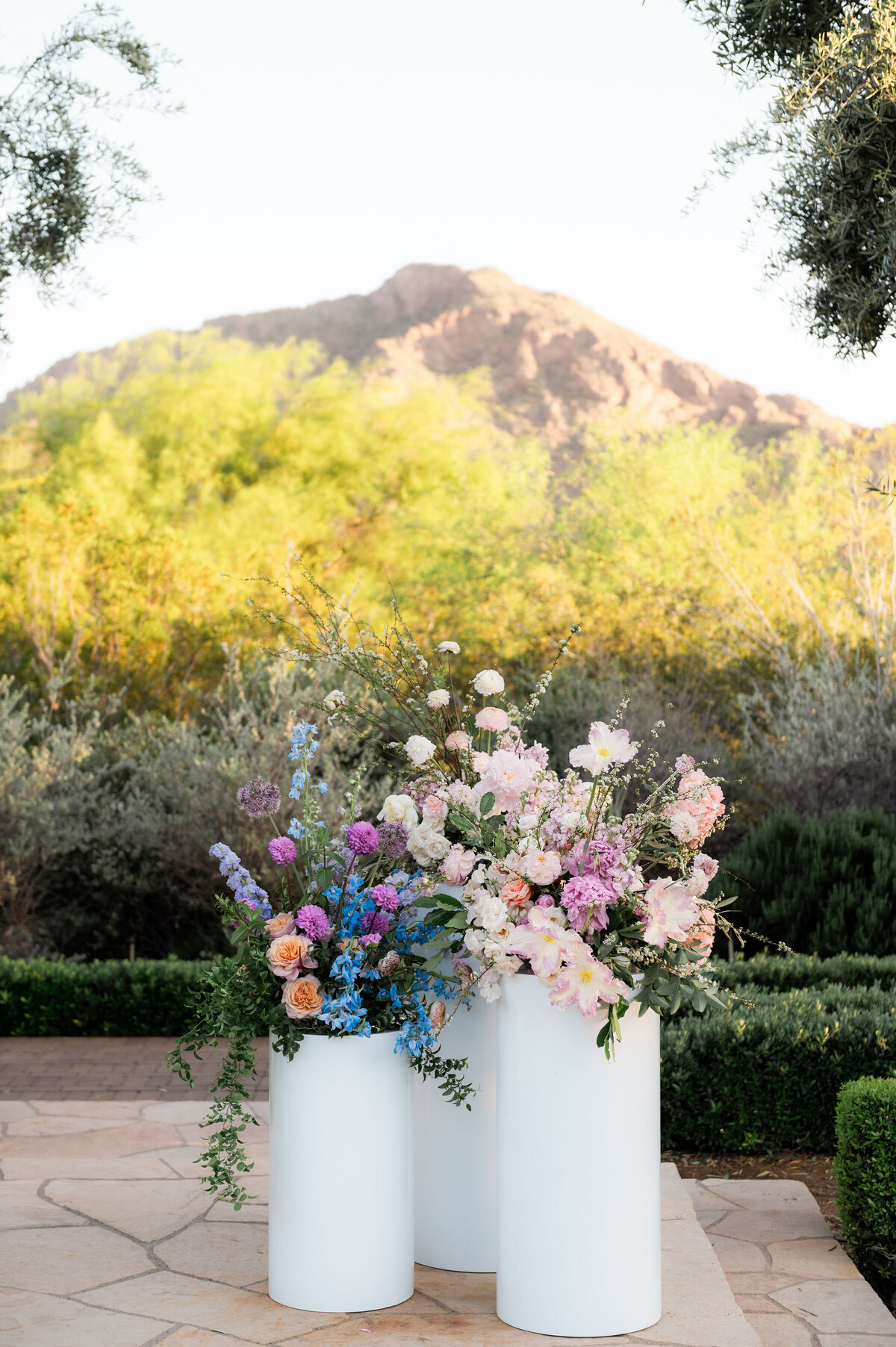 wedding-at-elchorro-scottsdale-joy-and-ben-photography-1670