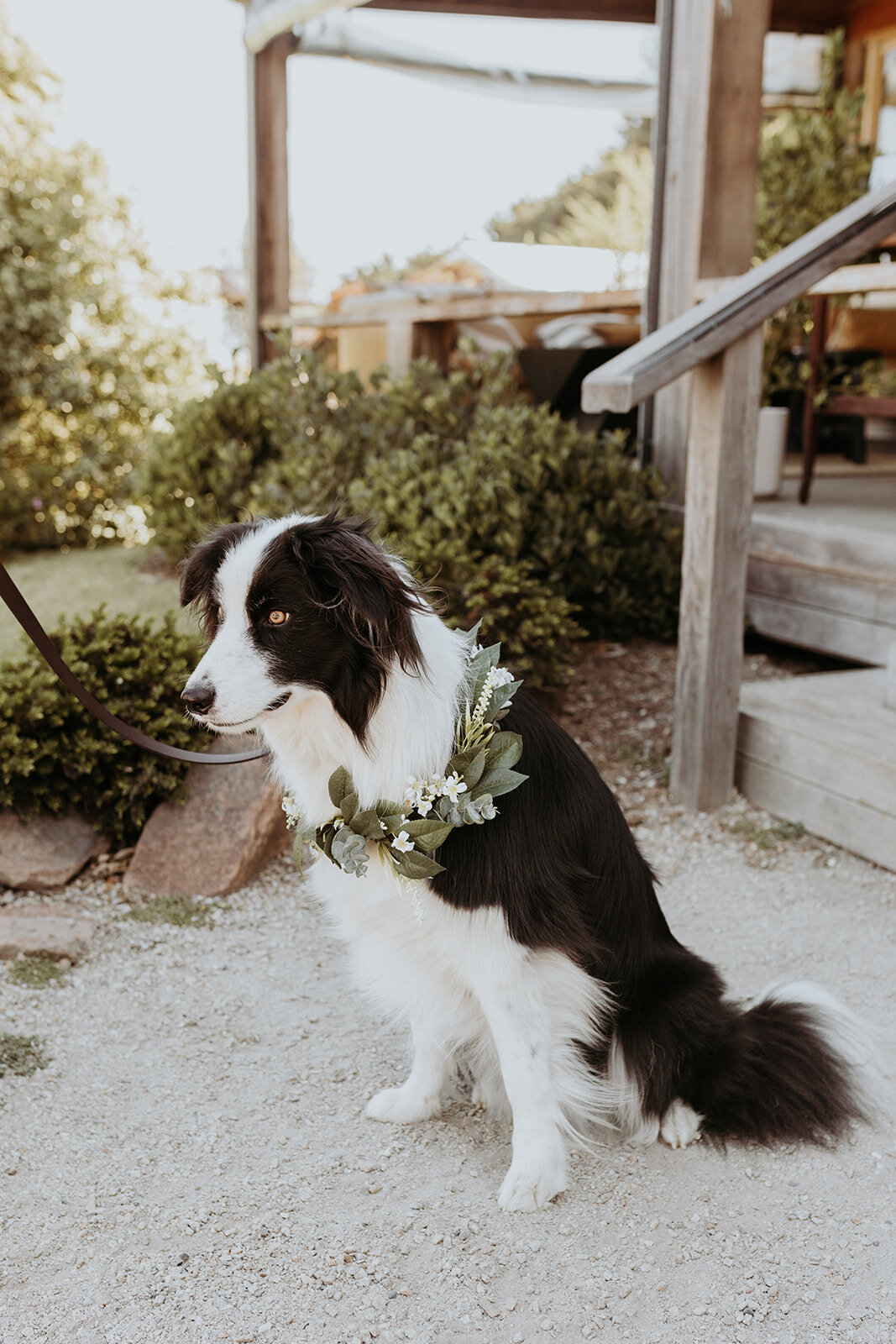 Sneak peek (77 of 195)
