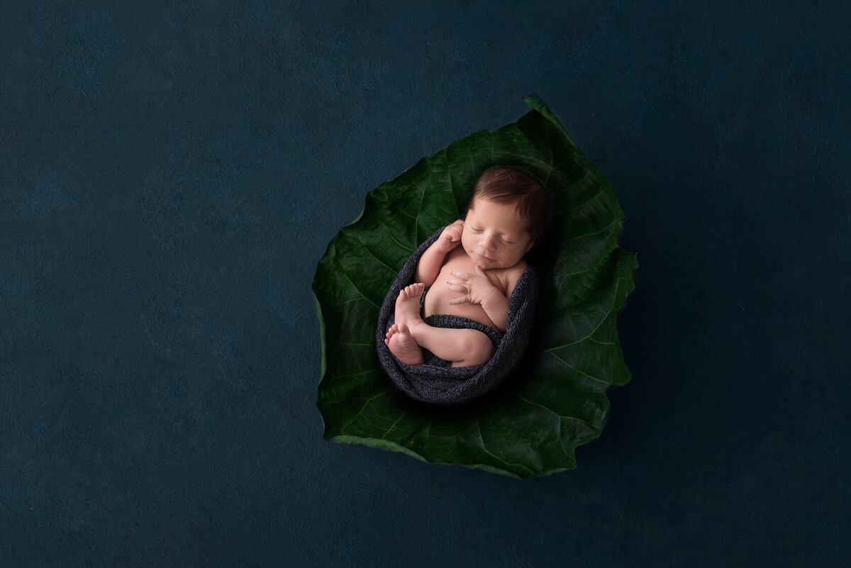 Creative Newborn Baby Photo Session in leaf