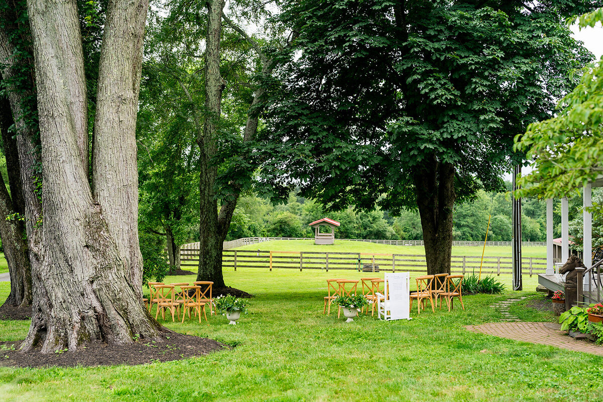Claire + Rustam_s Preview-22