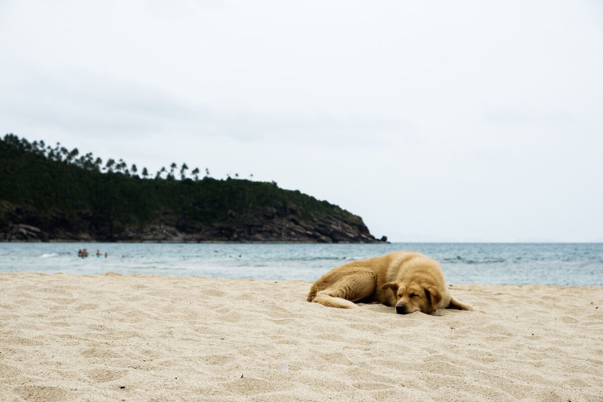 STUDIO JULLES X THAILAND TRAVEL 10