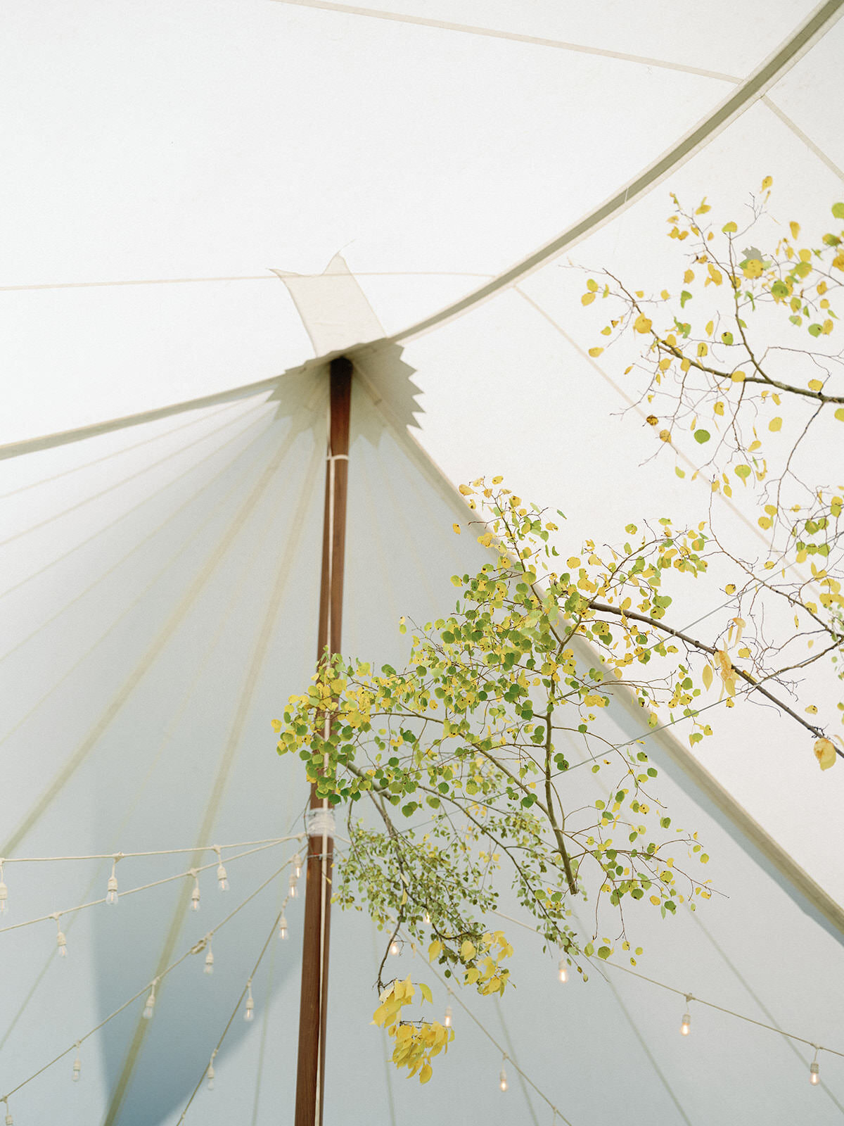 Aspen fall tented wedding at t lazy 7 ranch_RxL-51