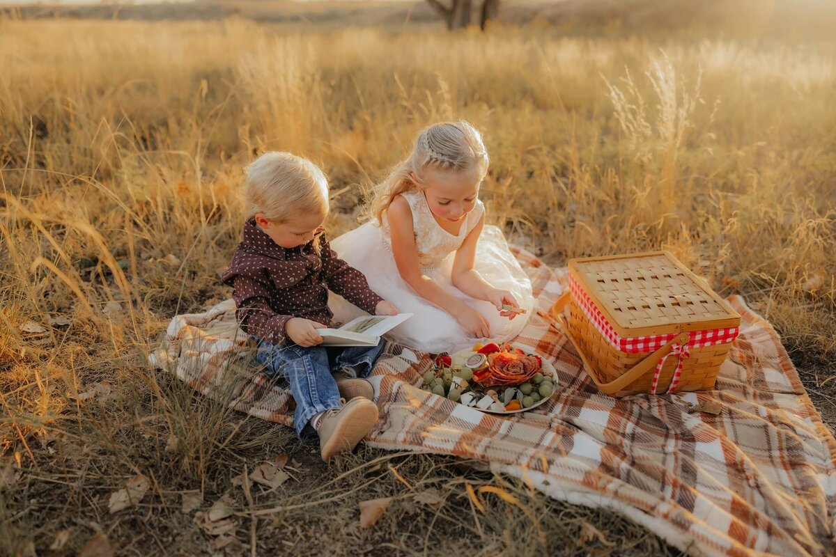 picnic-lifestyle