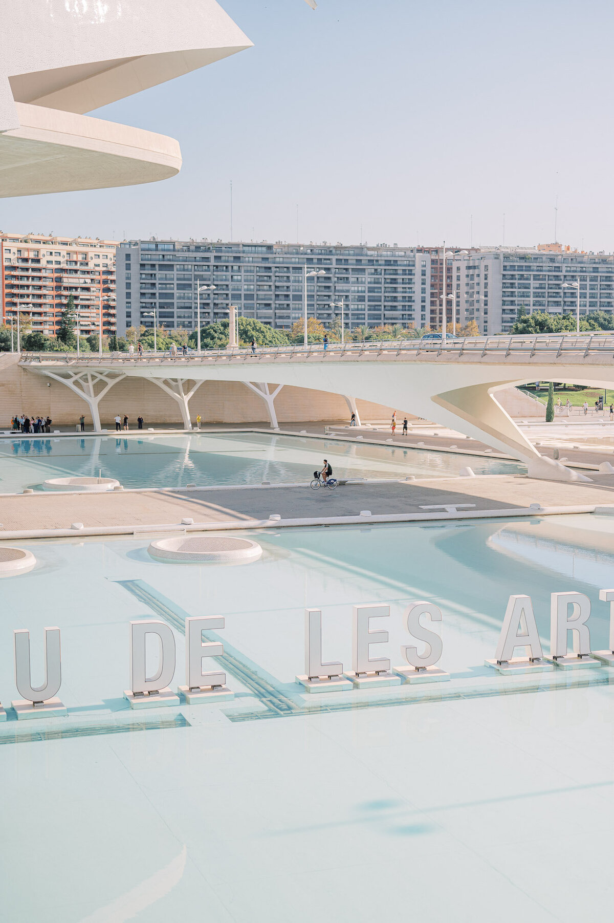 marriage-proposal-valencia-47