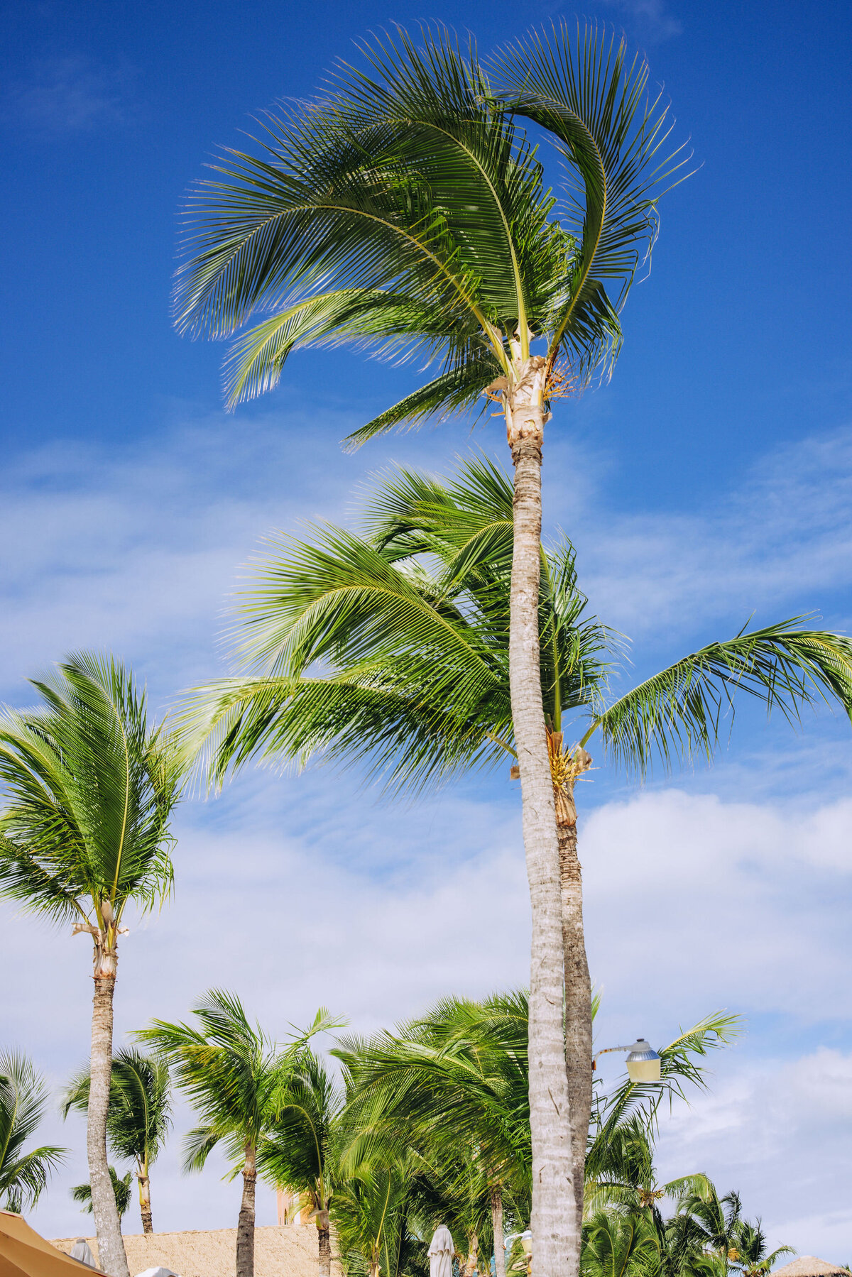 SanctuaryCapCana_FlowEventGroup-28