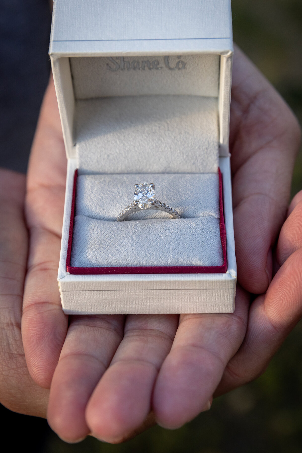 Morgan&Gabbi_Proposal_164