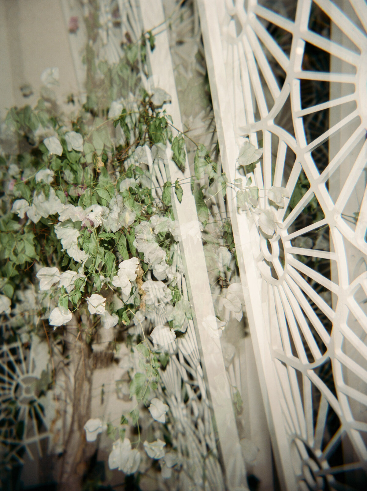documentary photographer, film wedding photographer in Mexico, white flowers design at Paradisus