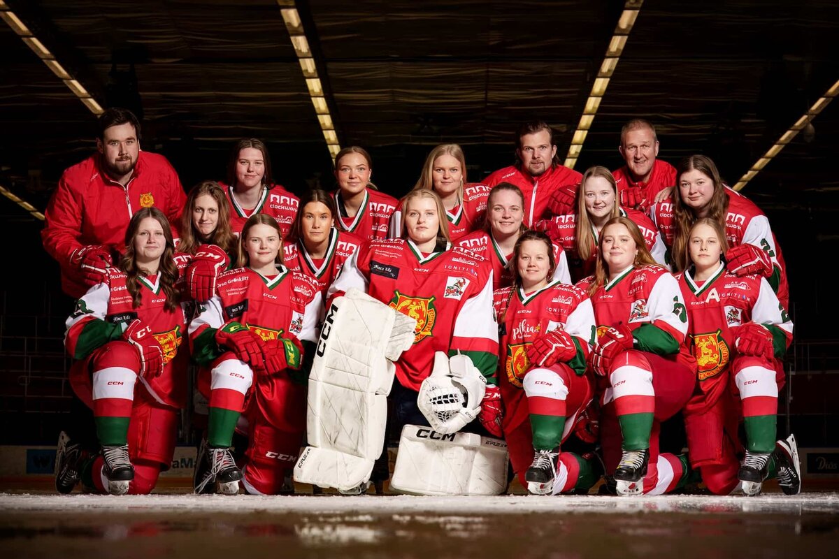 Sportfotografering med ett kreativt lagfoto av ett ishockeylag.