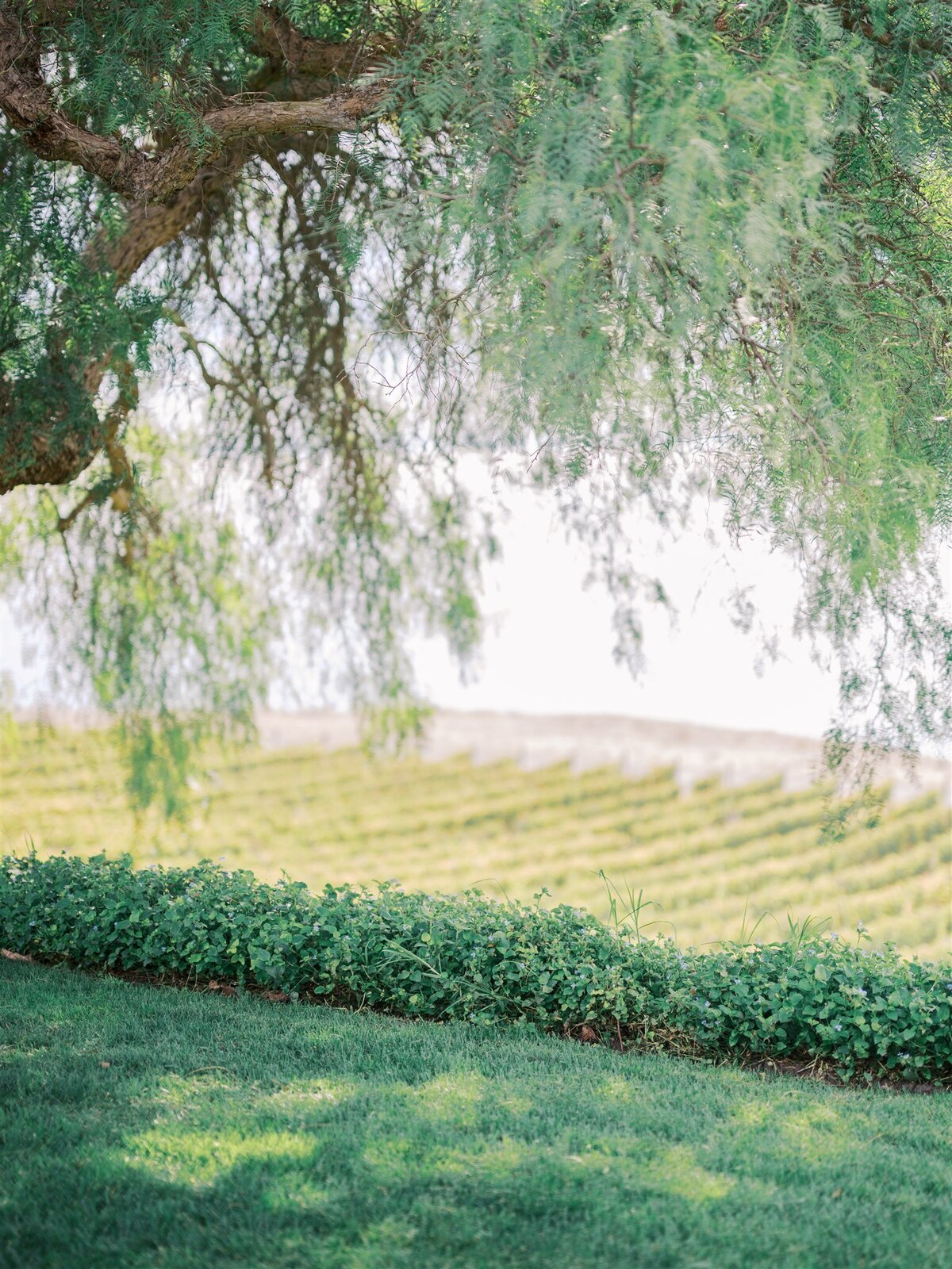 Palos-Verdes-Wedding-Planner8