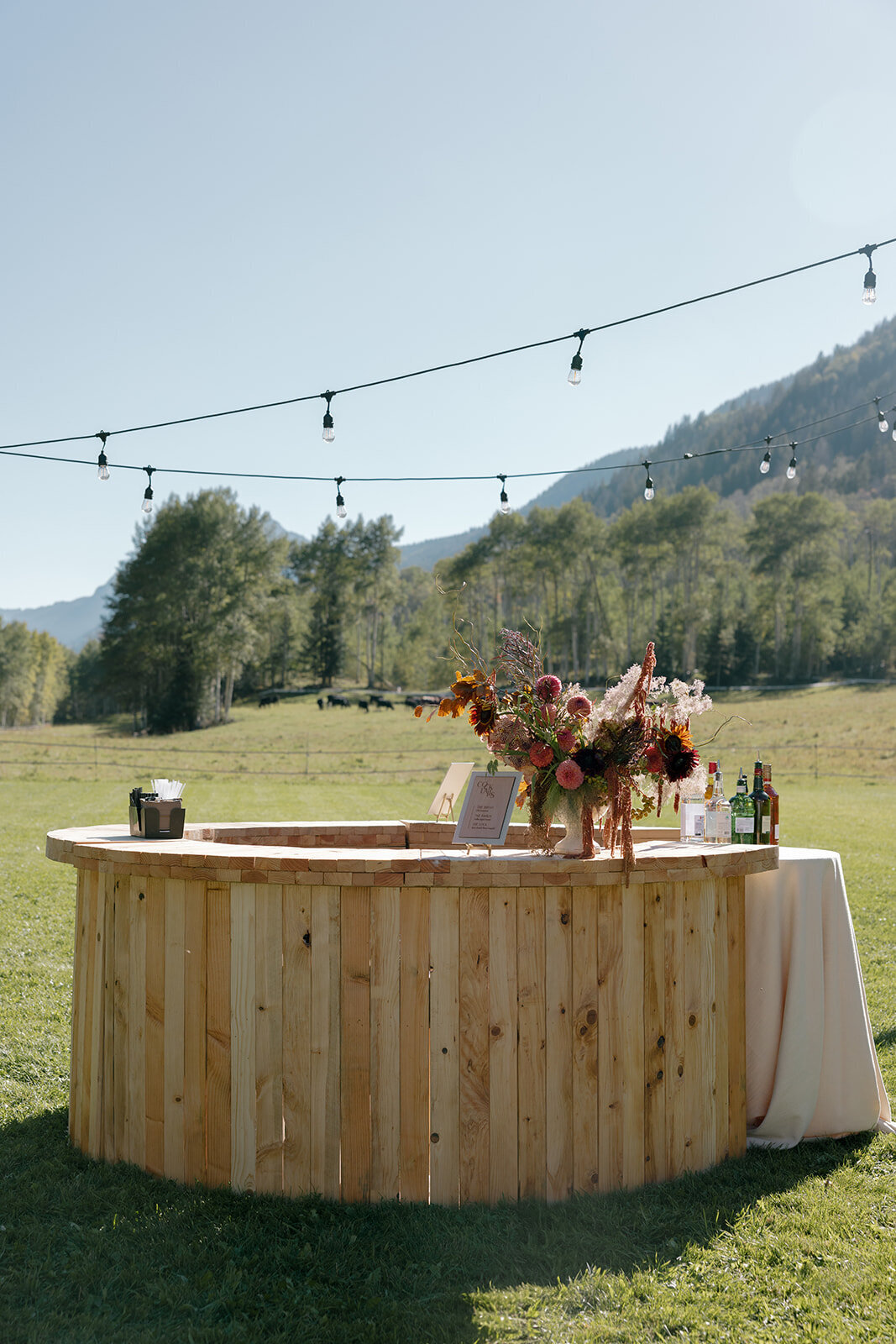 House of WIlde Rentals - Colorado - Aspen1
