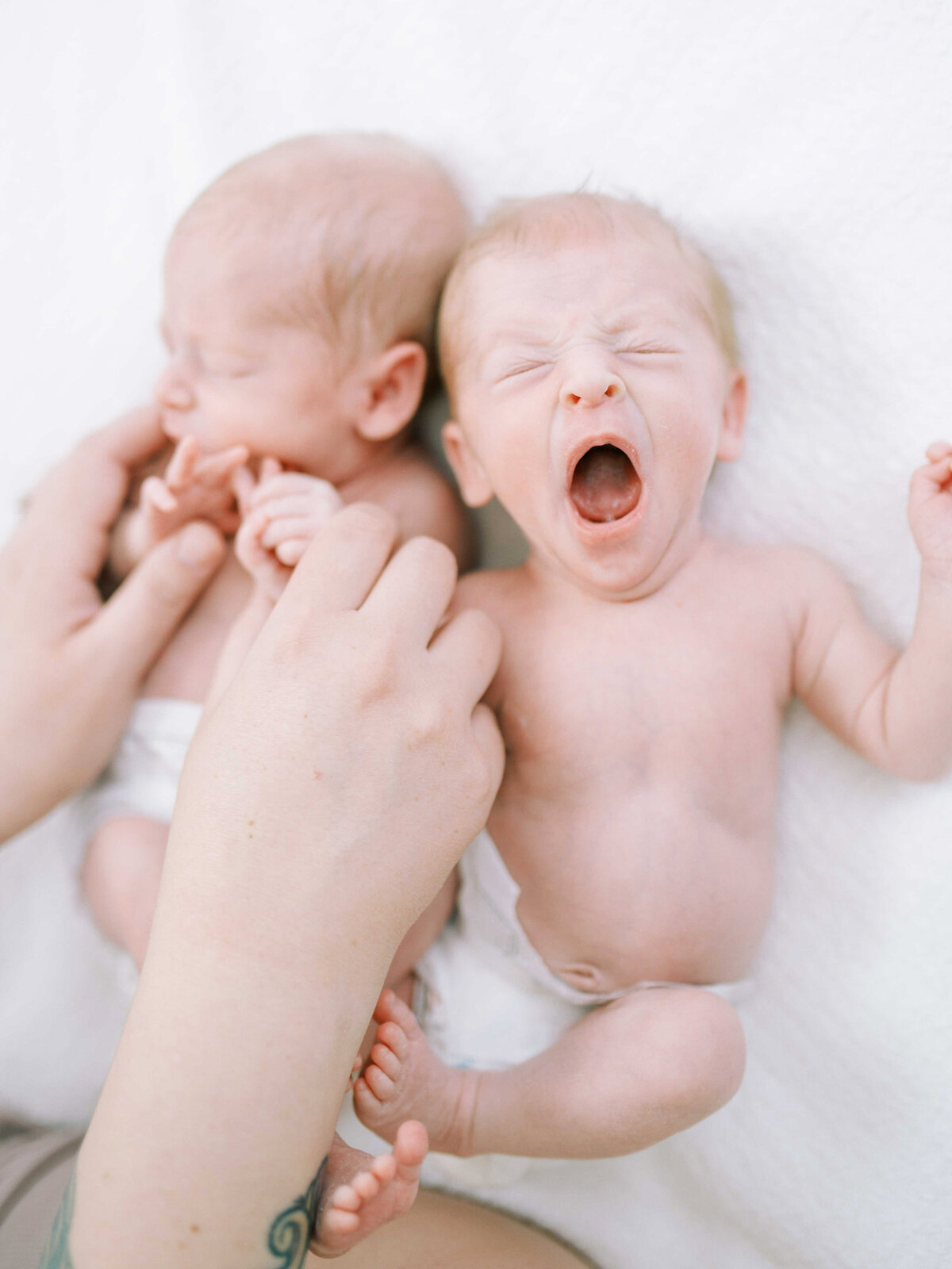 Portland Family Photographer Emilie Phillipson Photography-15