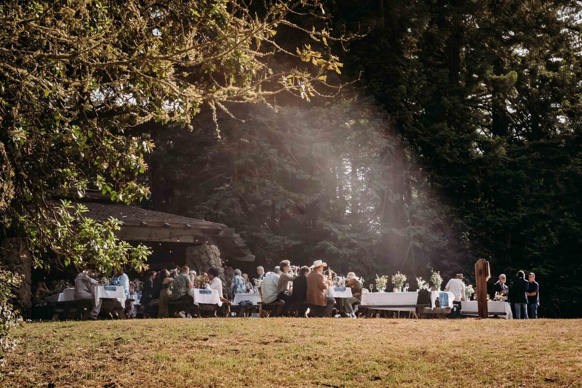 hmb-redwood-wedding