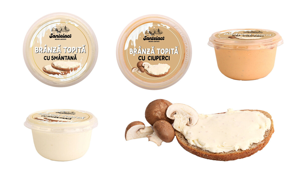 brand design for dairy company19