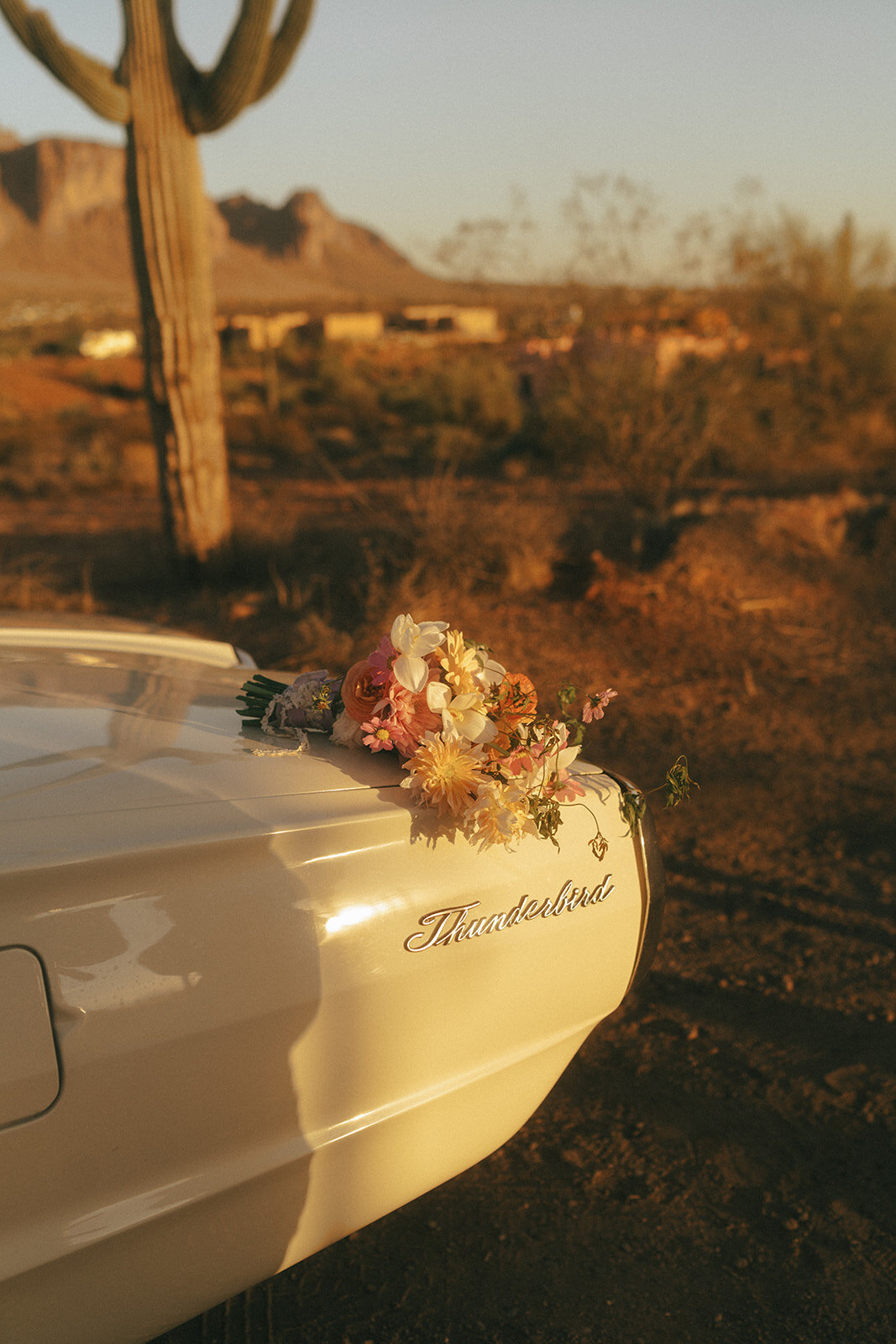 arizona-scottsdale-elopement-photographer-taylor-dawning-photography-50_websize