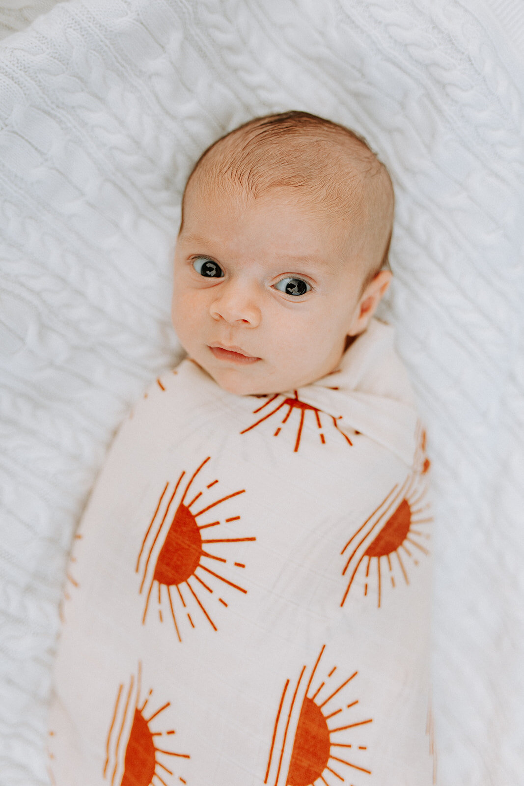 2022_01_31_Collard_Fam_104