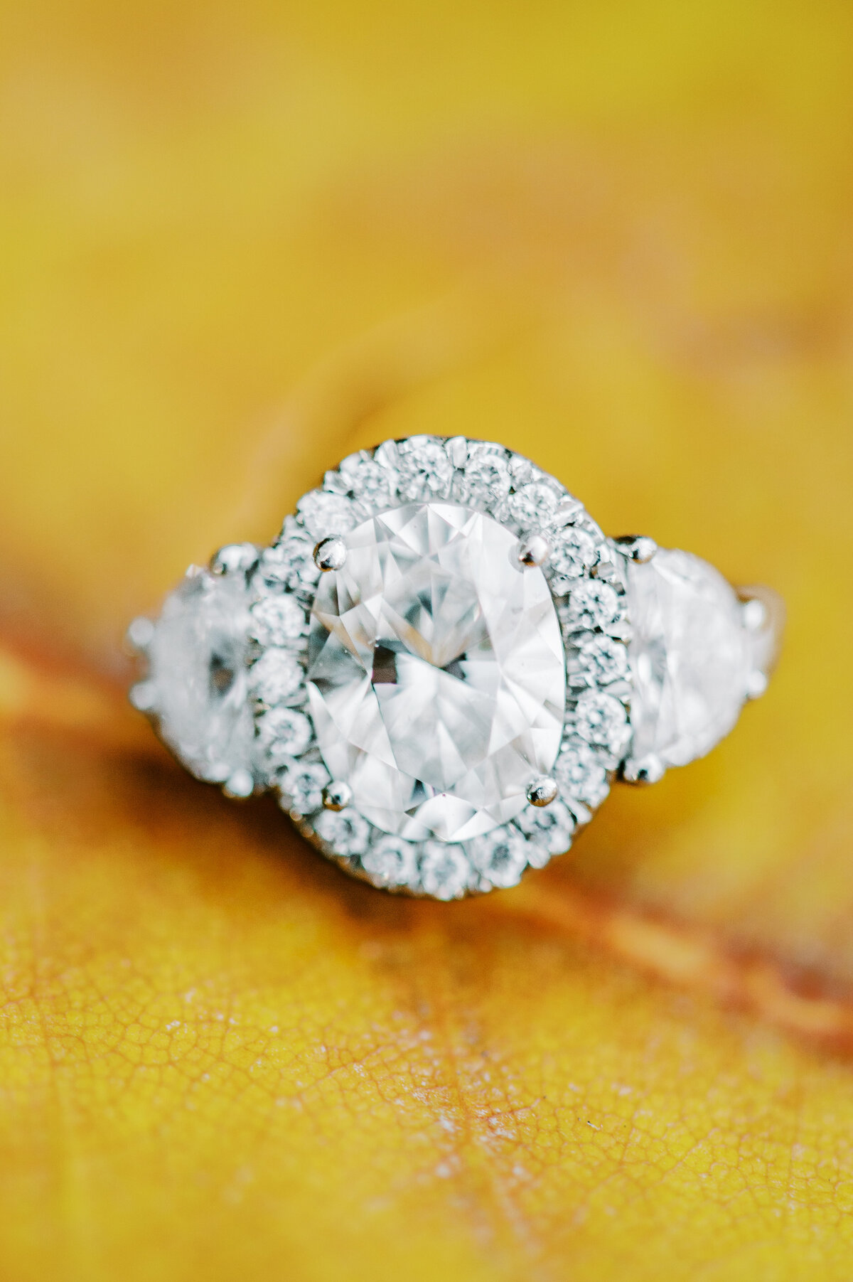 Engagements 2015 photo-5