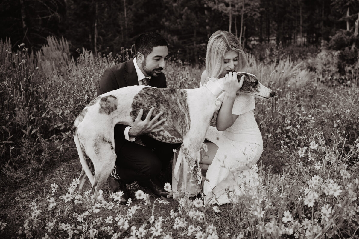 jackson-wyoming-photographer-grand-teton-wedding-with-pet
