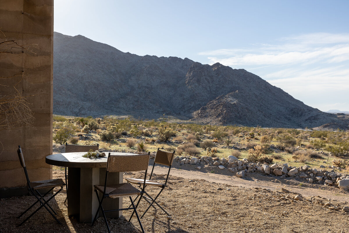 7_SUITES_tortoise_outdoor view