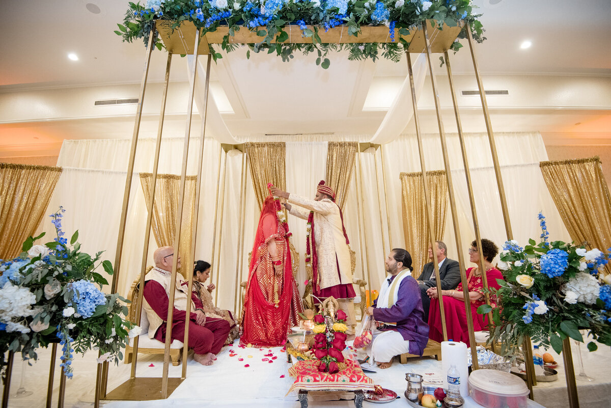 Indian wedding ceremony at Le Méridien Charlotte with groom placing garland on bride under a gold mandap decorated with blue and white flowers. Captured by DeLong Photography, Charlotte Indian wedding photographers.