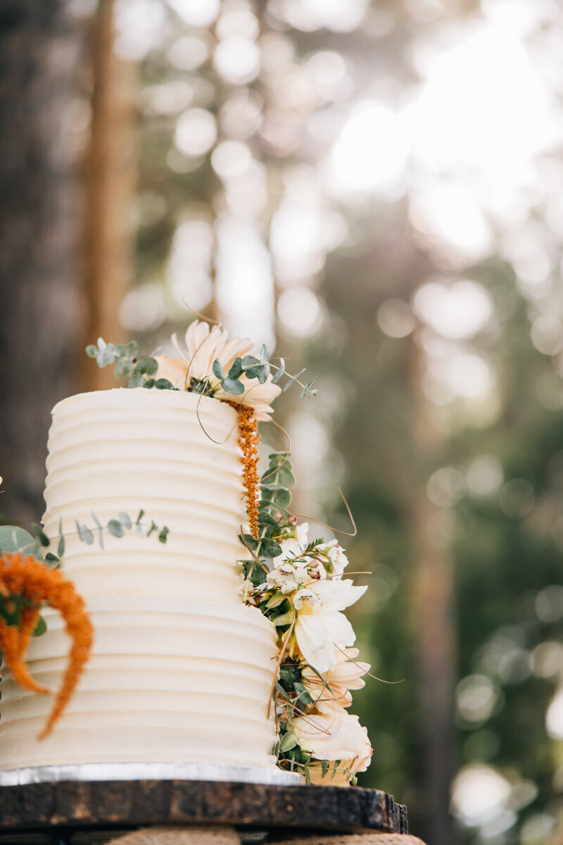 janellesphoto-244