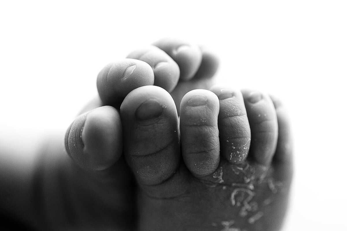 Black and white macro photography in Springville AL newborn