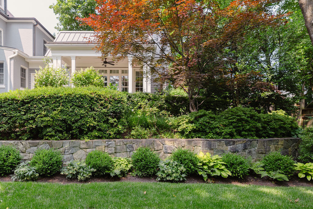 low maintenance lawn landscape md 8