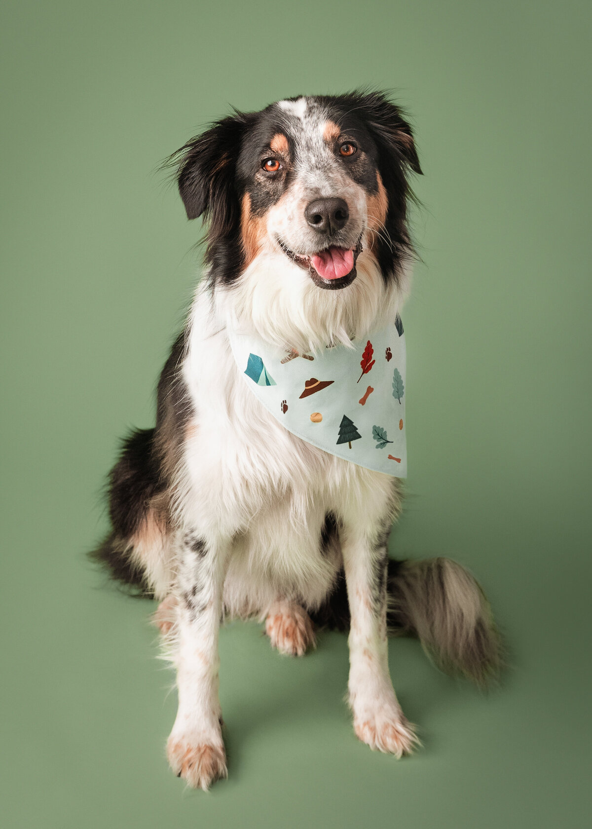 grey-bruce-owen-sound-photographer-pets-15