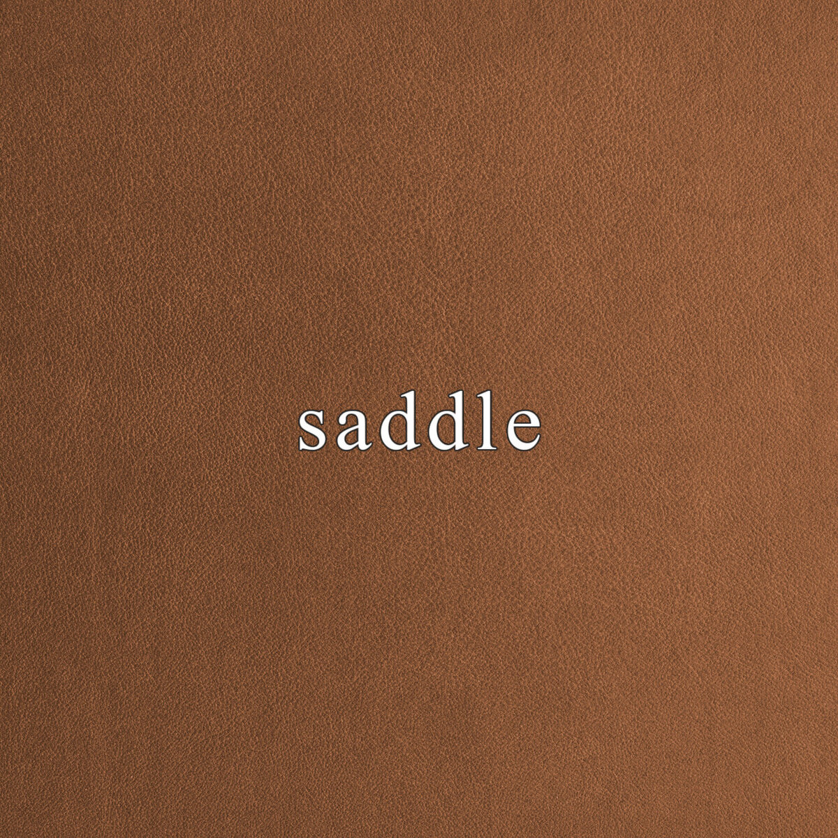 standard-saddle