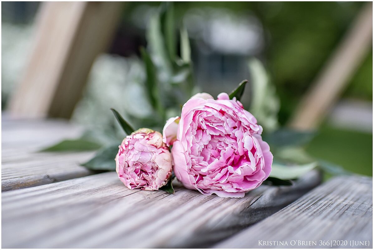 maine-family-lifestyle-photographer-0009