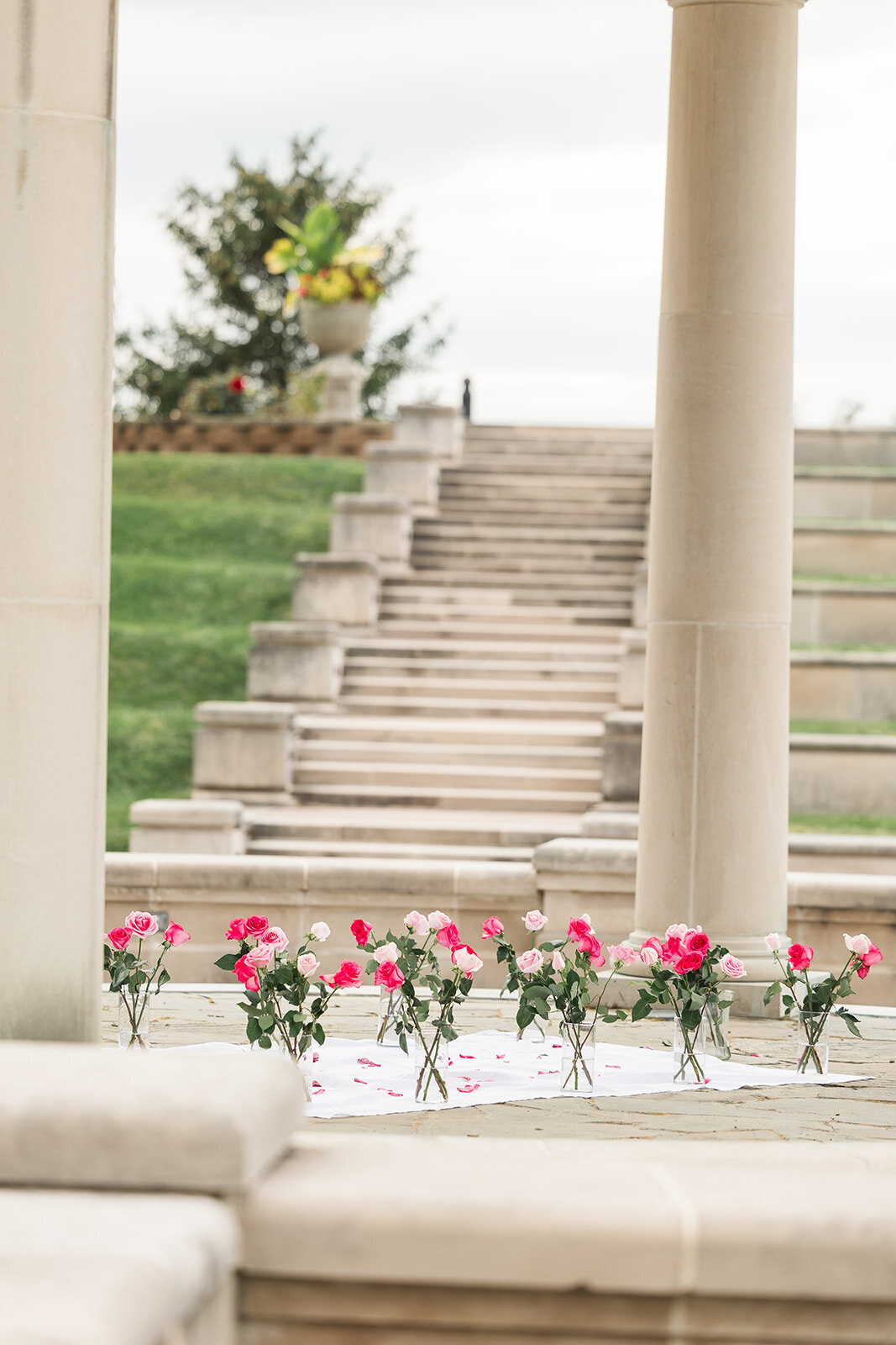 Alexis Fox Photography + Proposal + CoxHall Gardens + Carmel + Indiana (4 of 98)