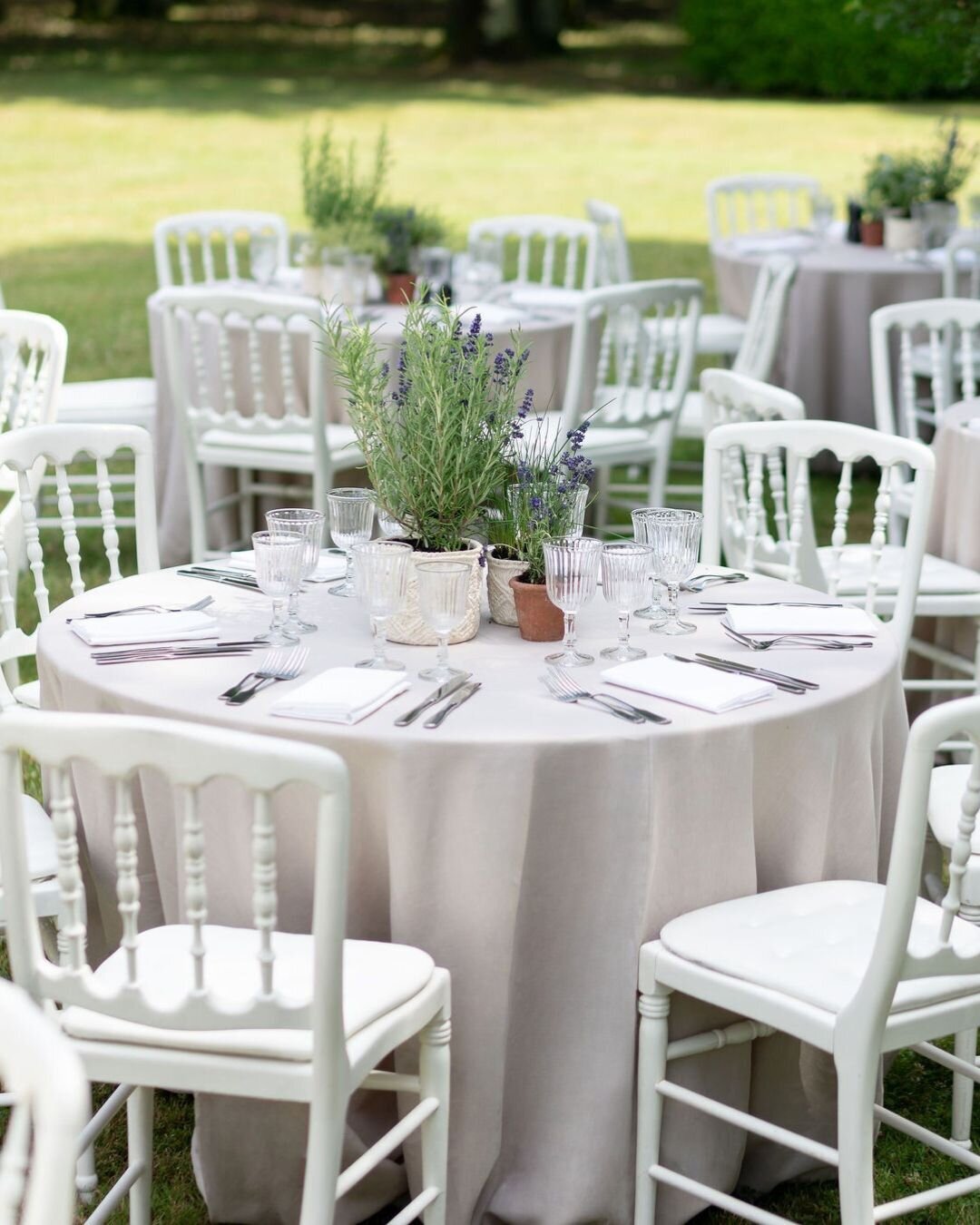 Wedding brunch in Provence