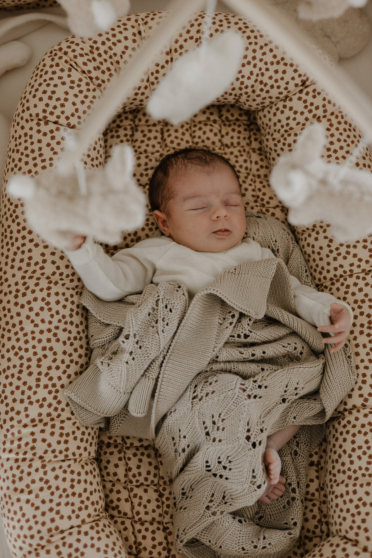 newborn-fotograaf-Putte-21