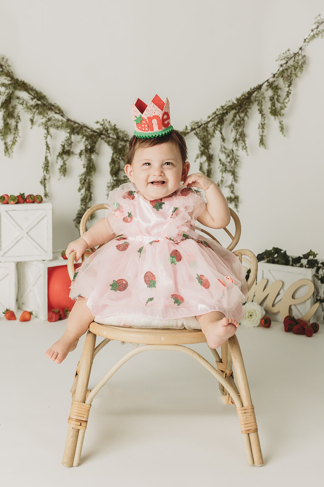 cake-smash-photographer-harrisburg-First-Birthday-10_websize