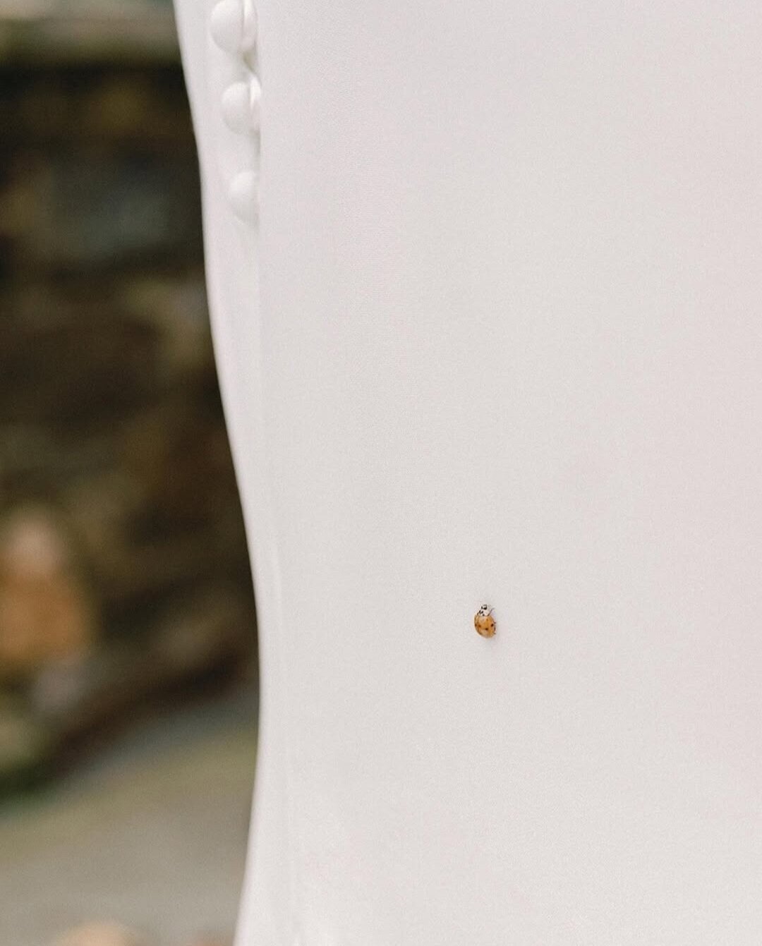 Screenshot_20251122-153157_Instagram