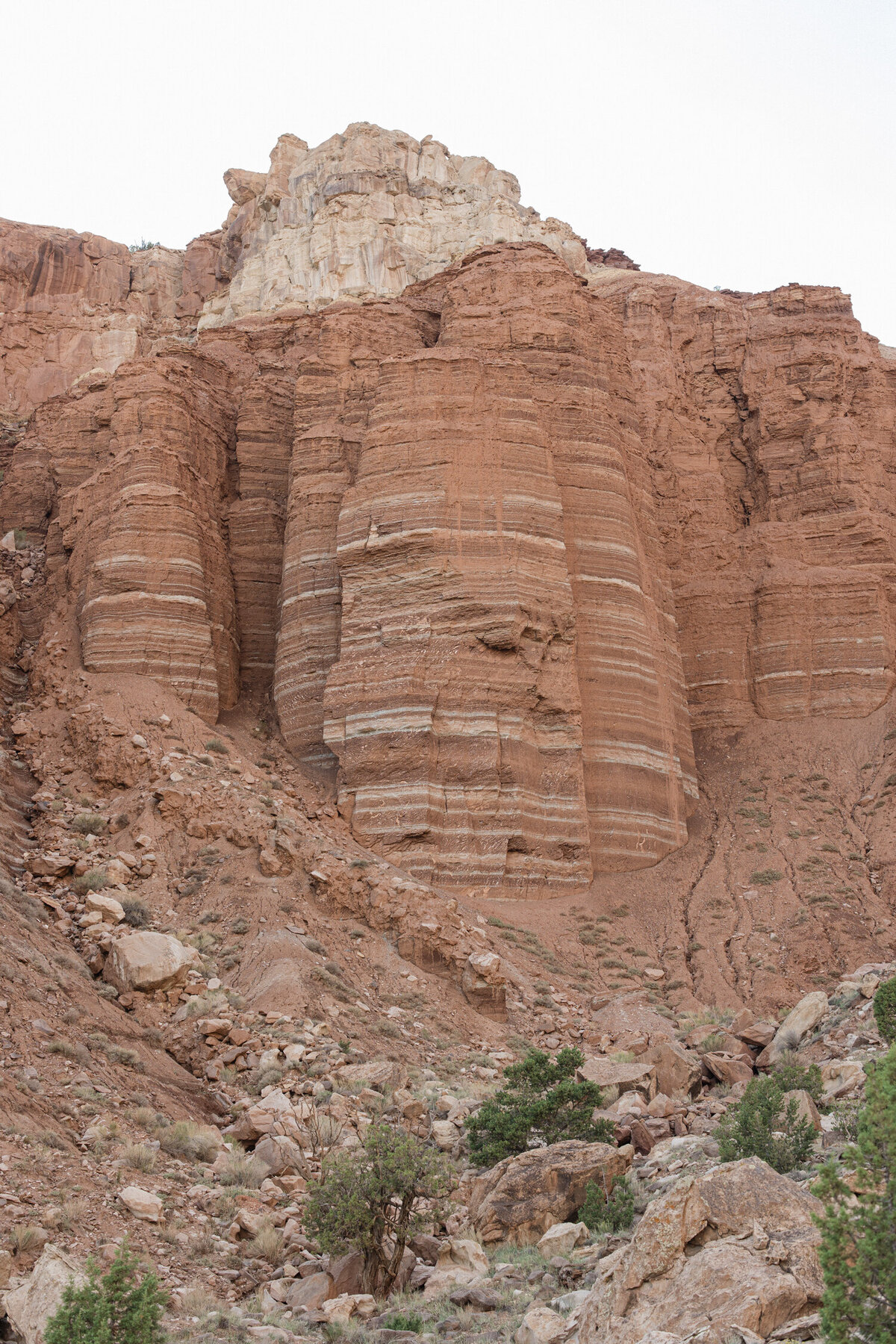 capitol-reef-national-park-elopement-photo-5002