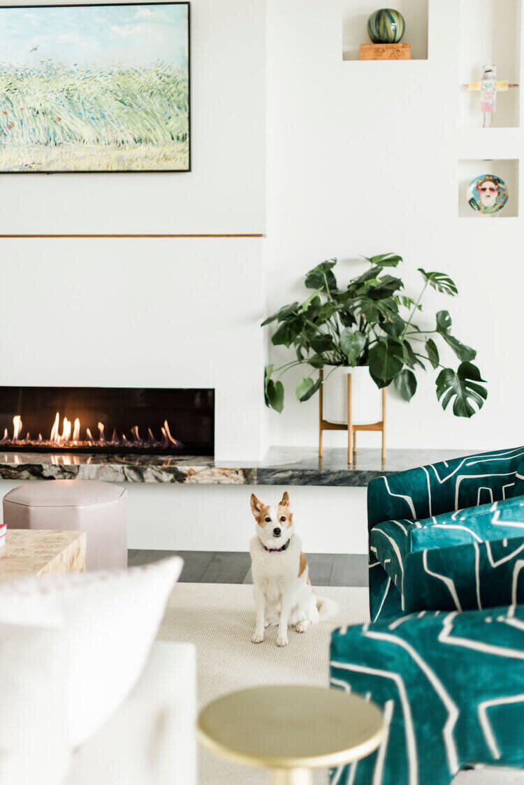 oyster creek studios austin barton creek dog and turquoise seating in living room with fireplace