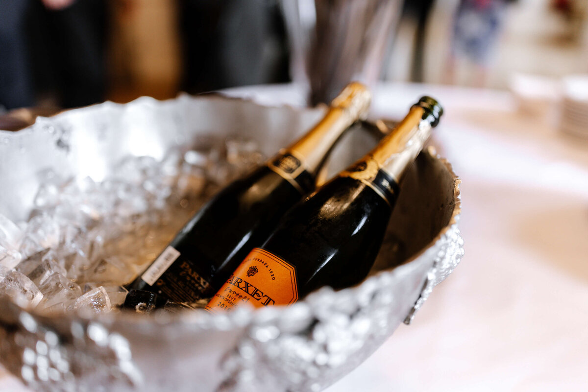 Nordic Destination Wedding Planner_51
